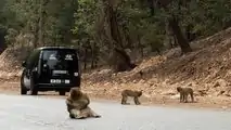 Hyundai y el Desierto de los niños 2022