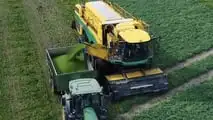 Oxbo GP6300: raccoglitrice di piselli 2 o 3 assi ad alta resa