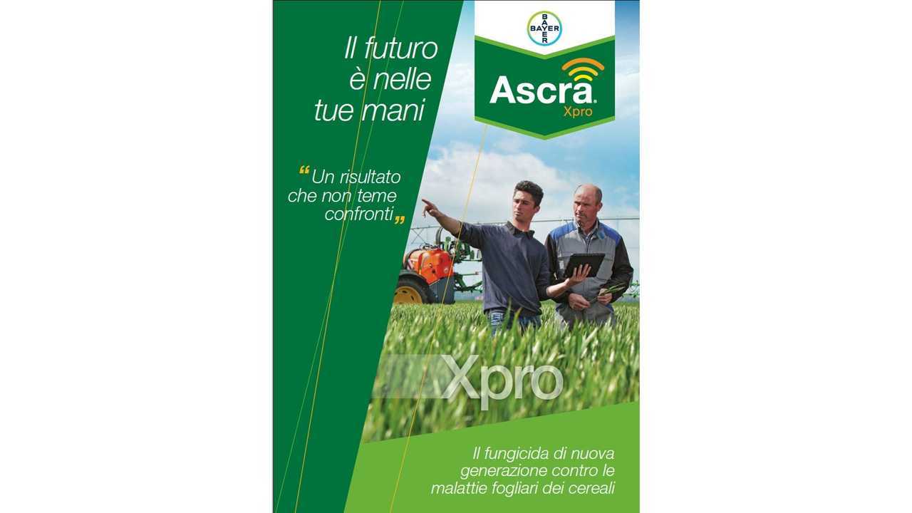 Bayer Ascra Xpro