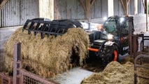 foto Bobcat telescopico super compatto TL25.60 AGRI