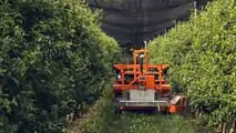 Slopehelper: robot agricolo elettrico per la viticoltura