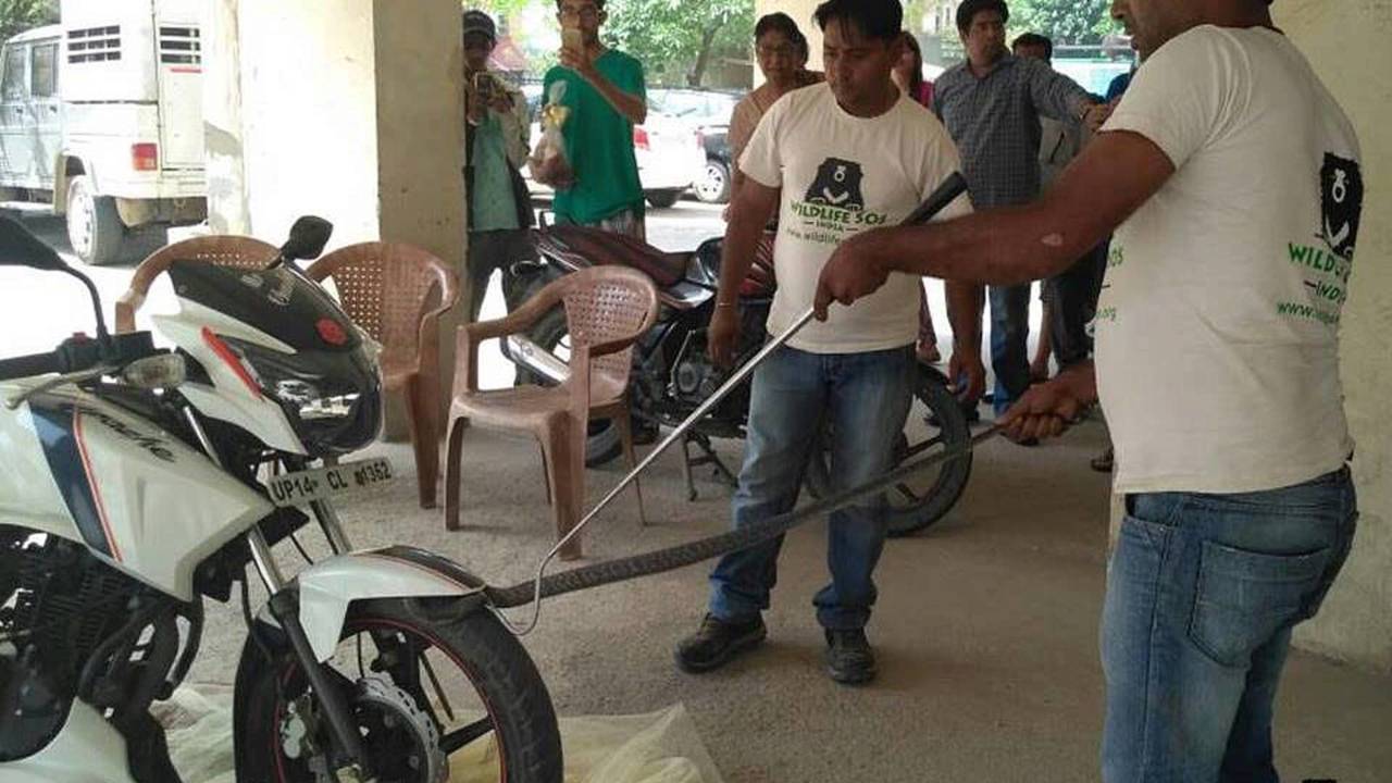 Fear Does Not Exist In This Dojo - Riding Hazards of India