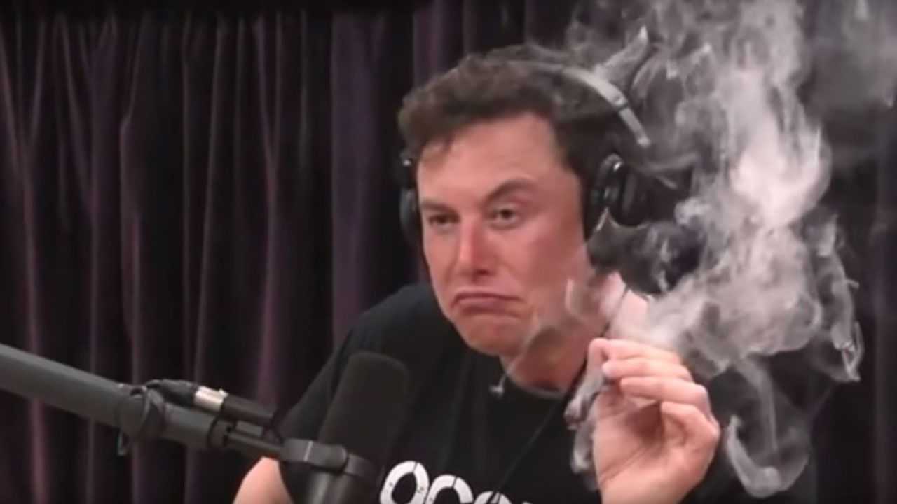 Musk: spinello in diretta durante un'intervista
