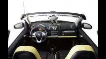 smart fortwo edition Moscot