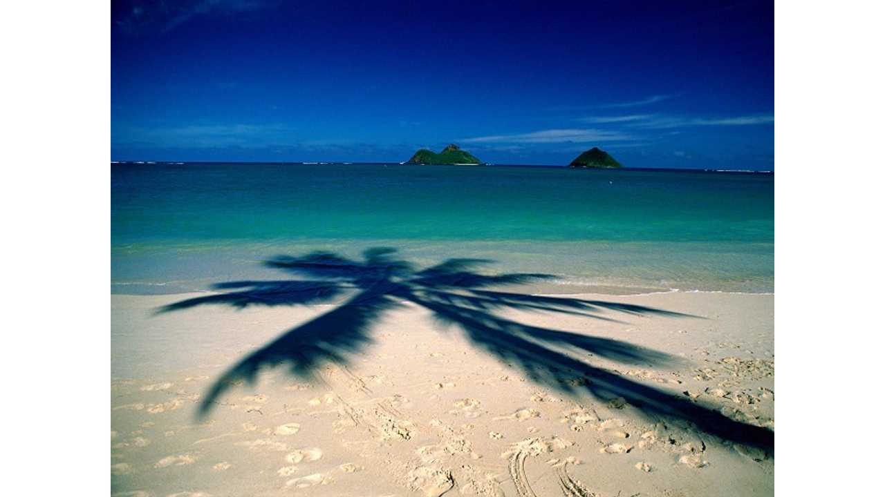 Electric Vehicle Parking Law Coming Under Fire for Not Being Enforced in Hawaii