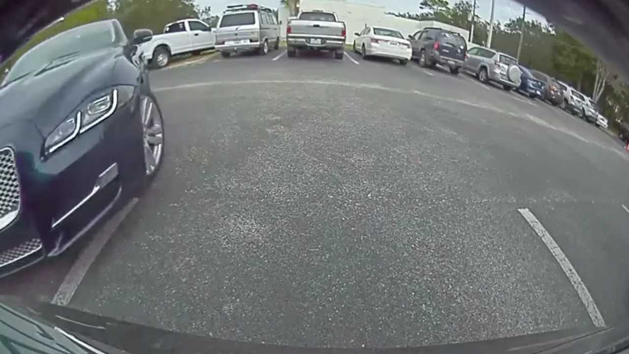 Do You Recognize This Jaguar? What About This Tesla Owner?