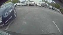 Do You Recognize This Jaguar? What About This Tesla Owner?