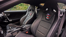 Sutton CS800 Mustang