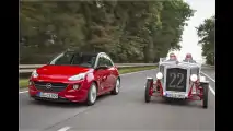 Wiedergeburt der Sardine