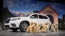 2019 Subaru Ascent