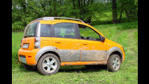 Nobler Kraxelbär