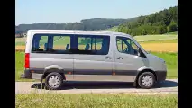 Schweinehälften-sicher