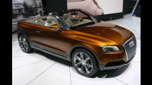 Audi Cross Cabrio quattro