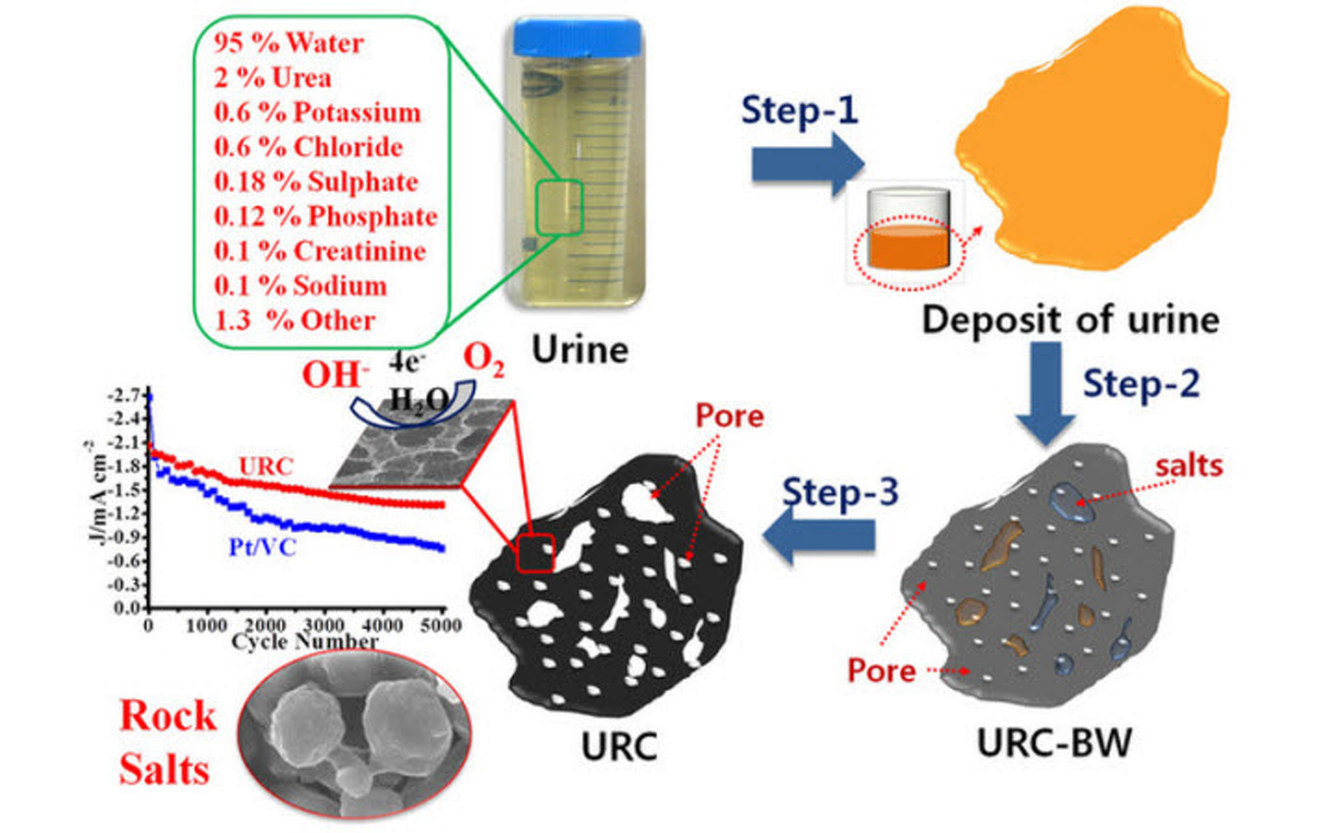 Is a Urine-Powered Fuel Cell Car in Your Future?