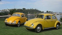 Amarelo Safári (esq) e Amarelo Texas (Foto - Matheus Marques) (3)