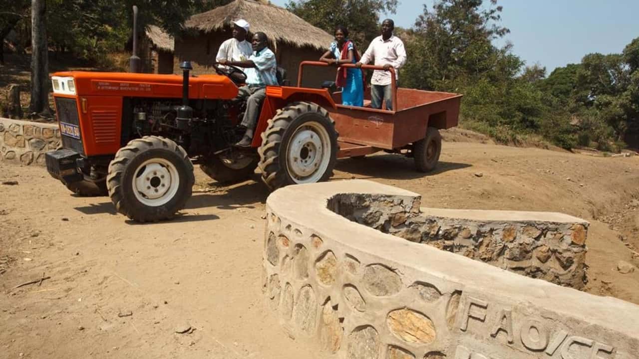 Bonifiche Ferraresi espande la presenza in Africa: accordo per 10.000 ettari in Congo