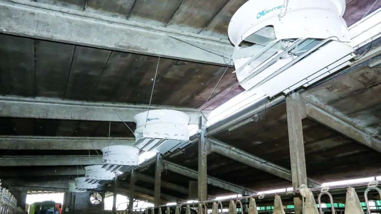 rilon: ventilazione smart per la stalla