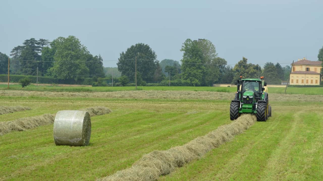 Aziende agricole italiane: micro dimensioni e polverizzazione
