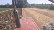 Come preparare il terreno alla soia di secondo raccolto?
