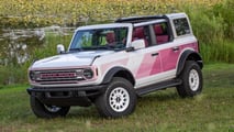 Ford Bronco Desert Rising