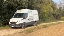 Prova varietale Seminard: dalla semina di novembre alla trinciatura, il confronto in campo tra frumento e triticale foraggeri.