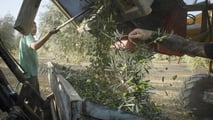 Incentivi per aziende agricole che assumono giovani svantaggiati. Esonero contributivo 100% per 24 mesi, potenziato nelle regioni del Sud Italia