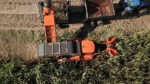Jacto Hover 500: raccolta canna più efficiente e sostenibile