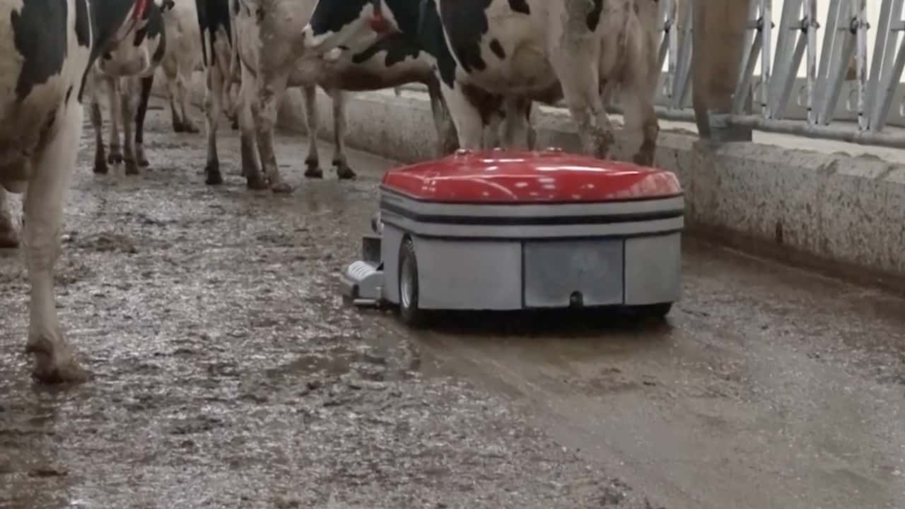 Criteri tecnici per scegliere vasche, pompe e spandiliquami per reflui in stalla e mantenere un ambiente sempre pulito