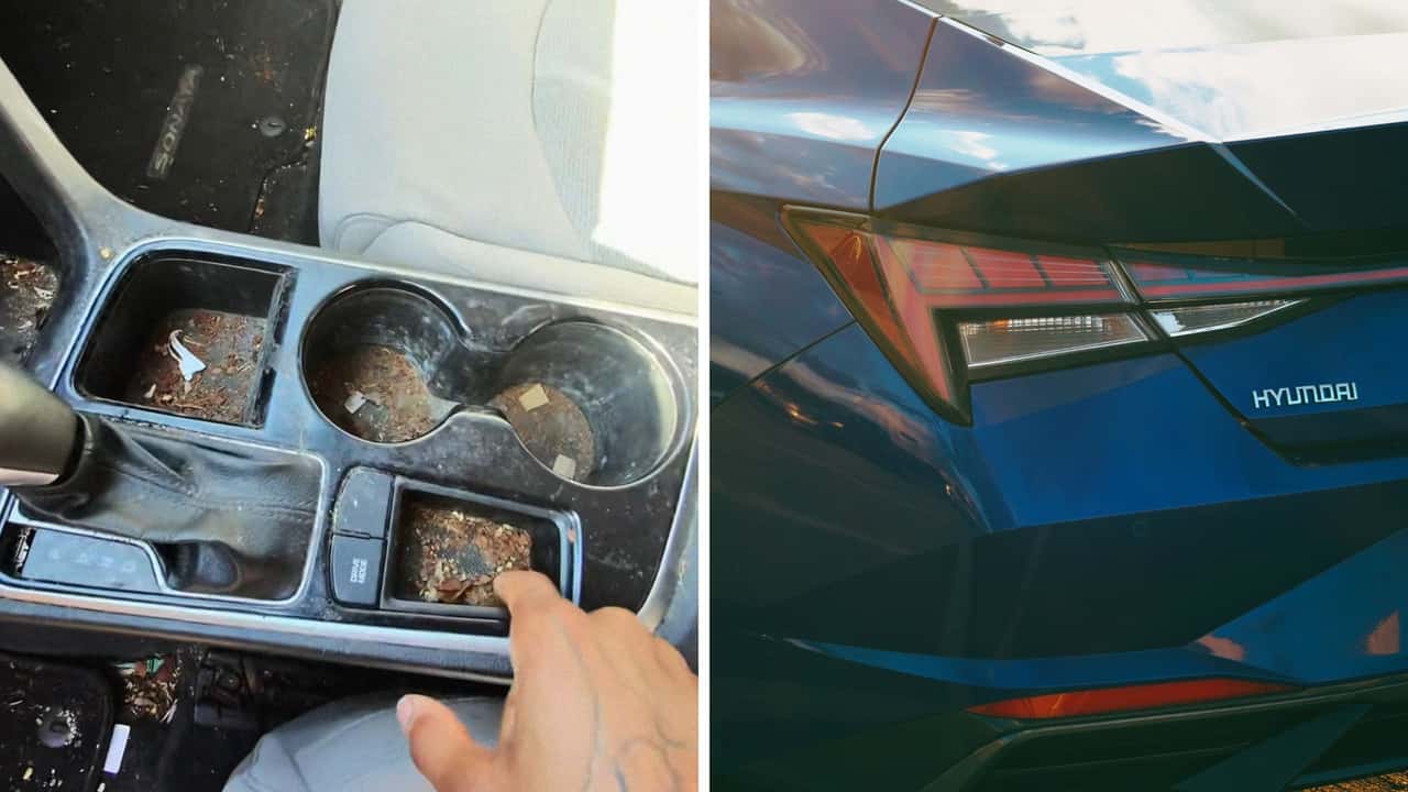 Hyundai Elantra Driver Hires Chicago Detailer