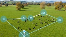 Il virtual fencing rivoluziona la gestione del pascolo: meno manodopera, più controllo, benessere animale migliorato e sostenibilità reale
