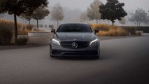 Pogea Lorenzo CLS63S 4M