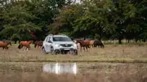 Renault Duster 2024 - Argentina