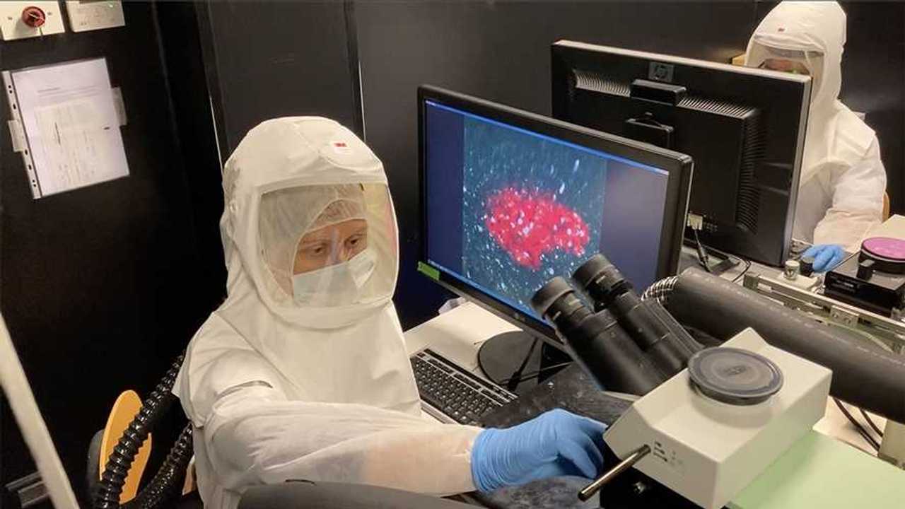 Fondazione SAME:1,5 milioni di euro per antivirali contro Covid-19