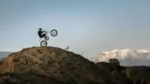Cake Bukk - Wheelie