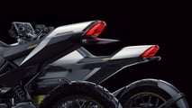 Can-Am Origin and Pulse - Rear Left