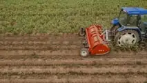 Kuhn: nuova trinciatrice BFP 320 per patate