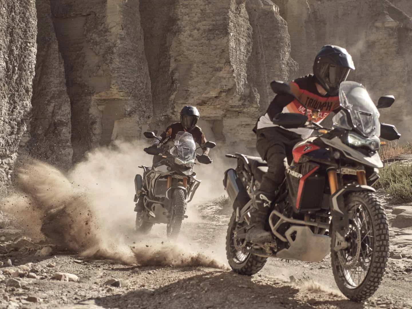 2024-triumph-tiger-900-rally-