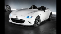 Mazda MX-5 Speedster Evolution 001