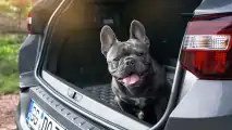 Opel Grandland X: Neues Zubehör