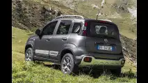 Smartes Bärchen