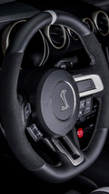 Ford Shelby GT350R Mustang