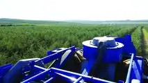 NEW HOLLAND BRAUD 9090X OLIVE