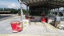 LELY VECTOR