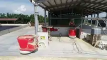LELY VECTOR