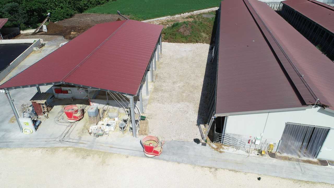 LELY VECTOR