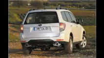 Starker Forester