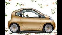 Elektrostudie von Nissan