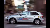 Lange Prüfung