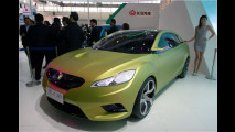 CCAG Concept