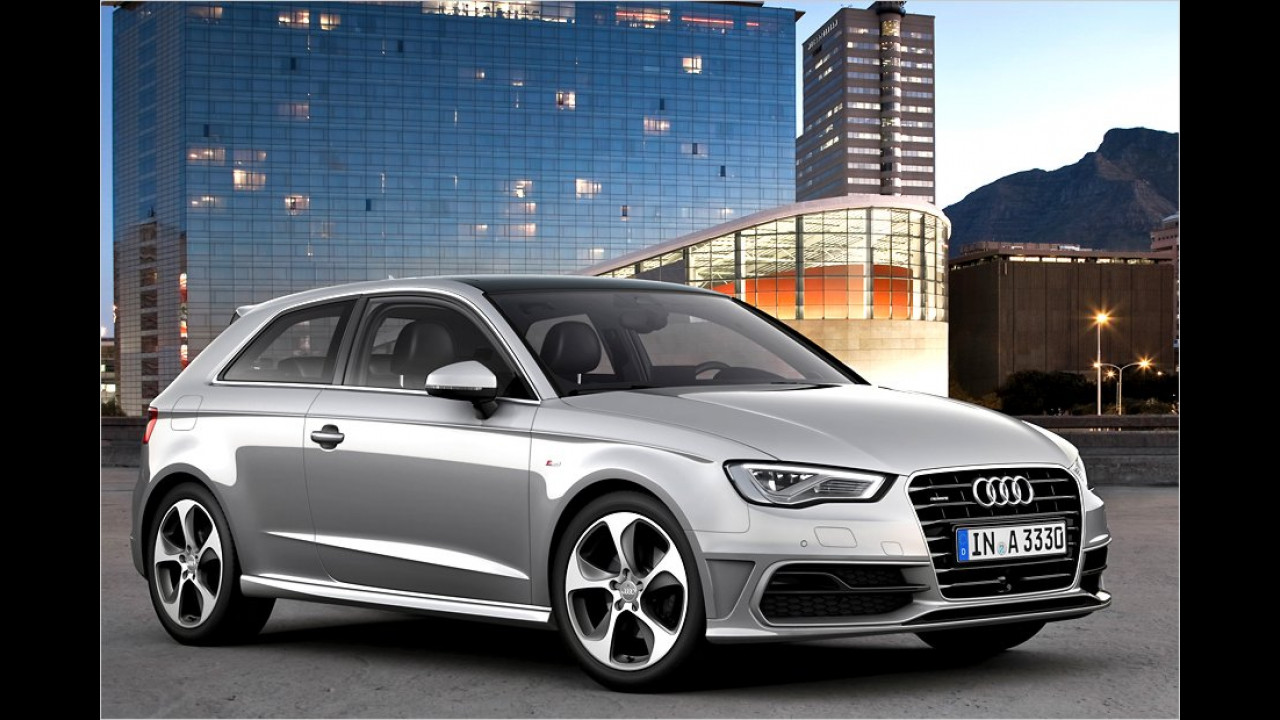 Qualität vom Meisterbock